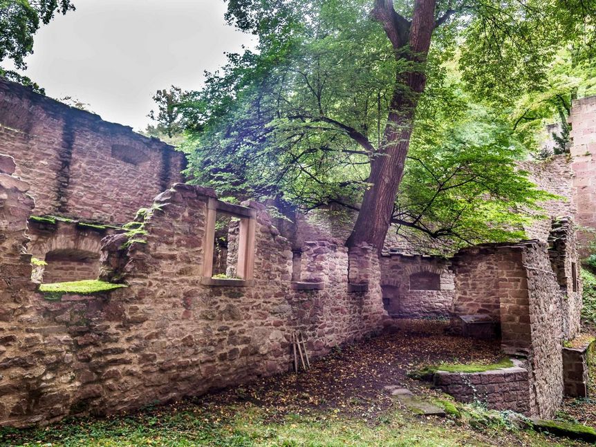 Foto: Staatliche Schlösser und Gärten Baden-Württemberg, Ralf Kuhlen Schloss Heidelberg, Malteser Schanze